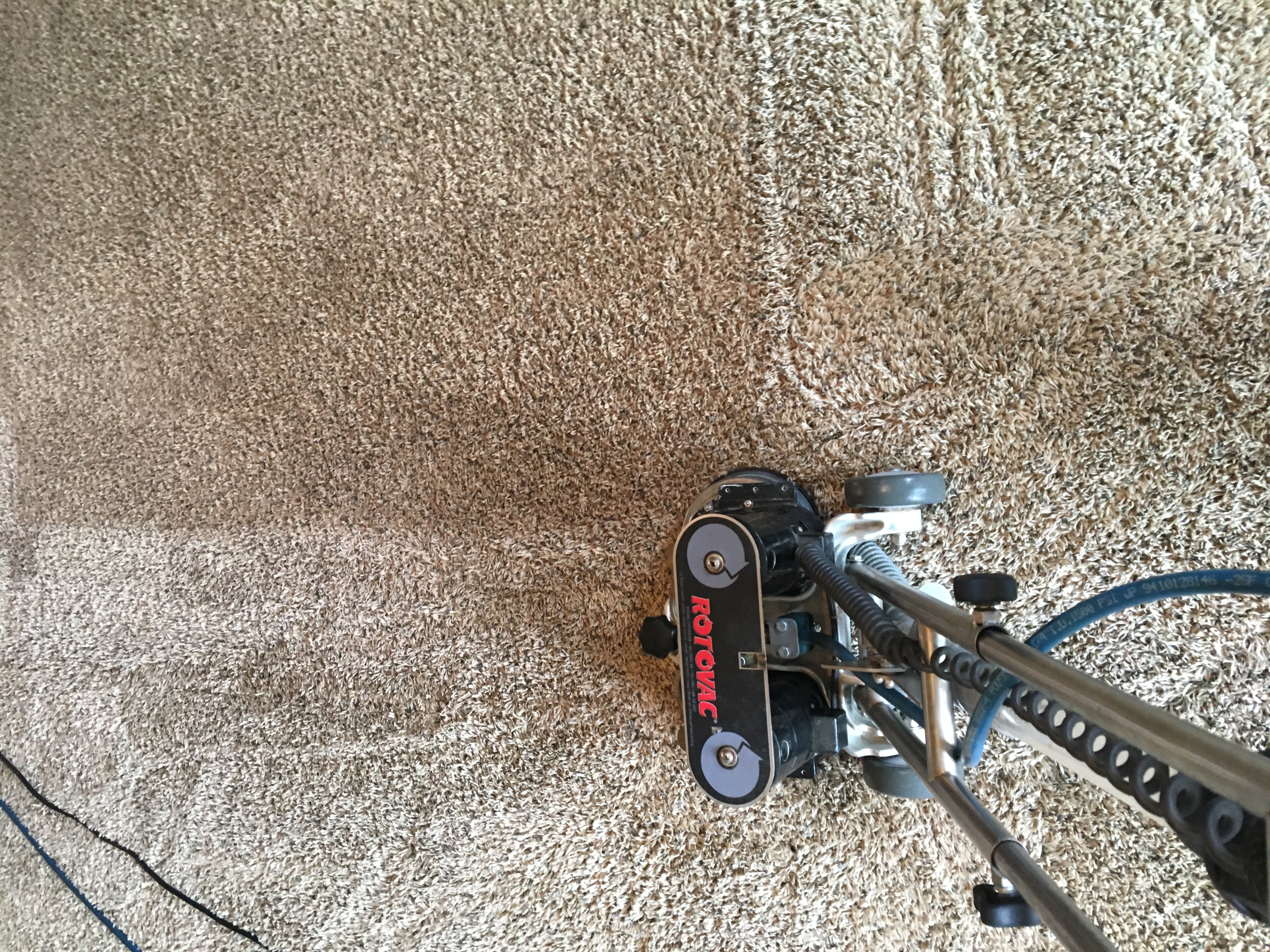 Carpet Cleaning in Norman, Ok